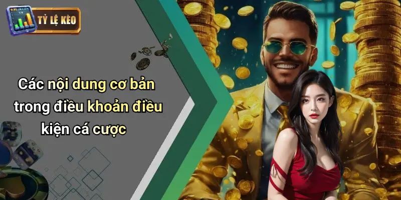Điều Khoản Điều Kiện