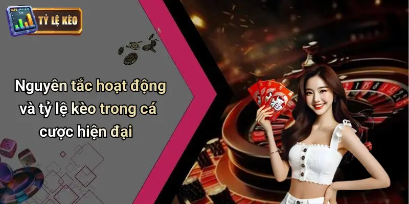 Điều Khoản Điều Kiện