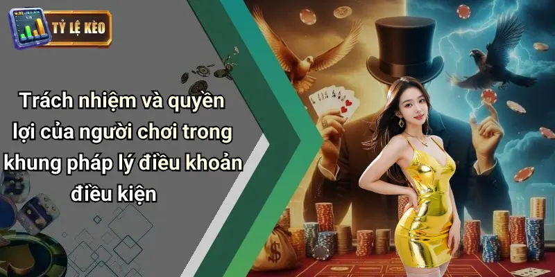 Điều Khoản Điều Kiện