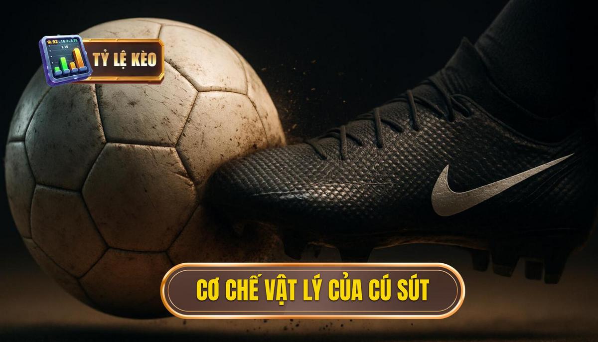 Phân Tích Chuyên Sâu Kỹ thuật sút bóng bằng đầu gối trái: Vũ Khí Bí Mật Trên Sân Cỏ 2 Cơ Chế Vật Lý Và Sinh Cơ Học Của Cú Sút Đầu Gối