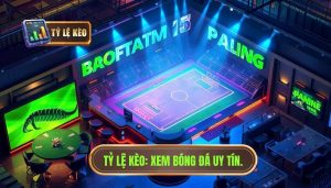 Xem trực tiếp bóng đá ở đâu tốt nhất